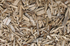 biomass boilers Surbiton